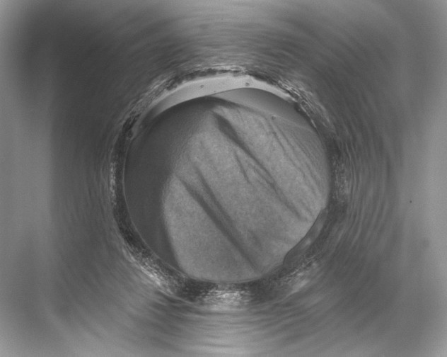 X0000067840260200605041657