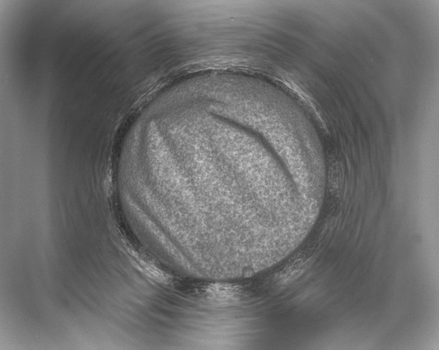 X0000067840261200605041657