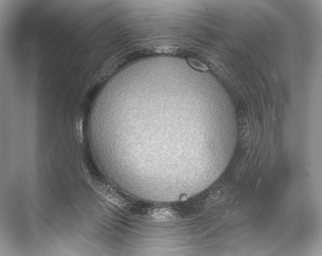 X0000067840262200605041657