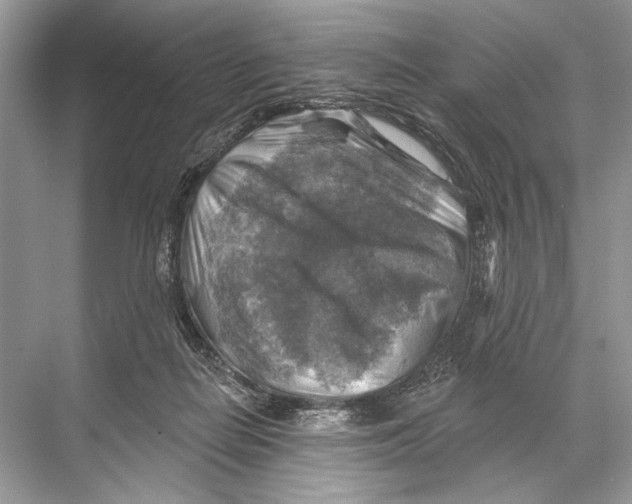 X0000067840266200605041657