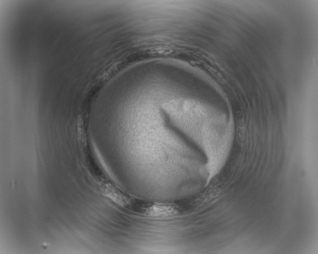 X0000067840270200605041657