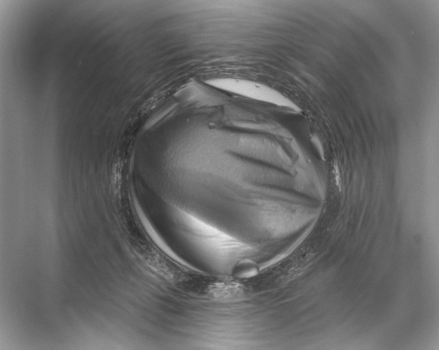 X0000067840271200605041657