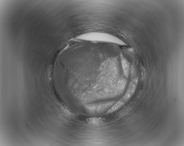 X0000067840273200605041657