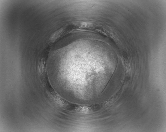 X0000067840276200605041657