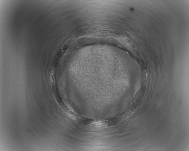 X0000067840280200605041657