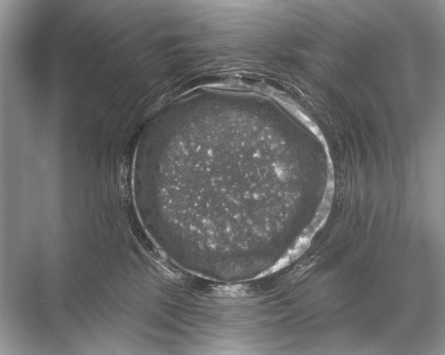 X0000067840281200605041657