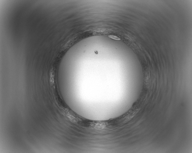 X0000067840282200605041657