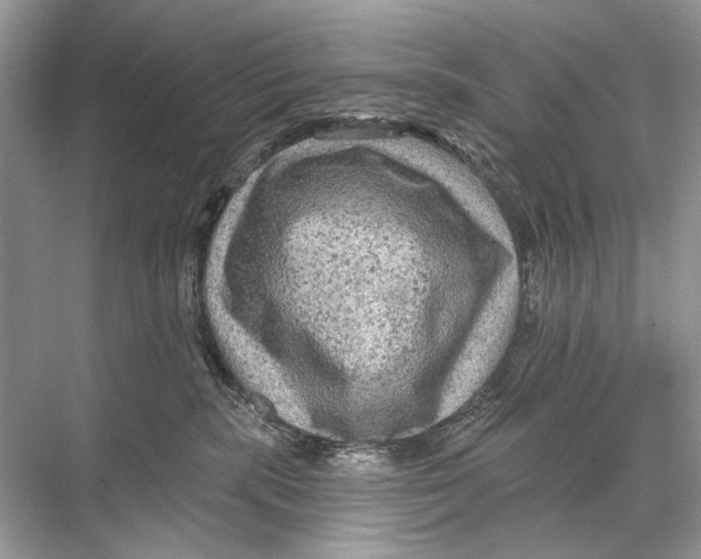 X0000067840283200605041657