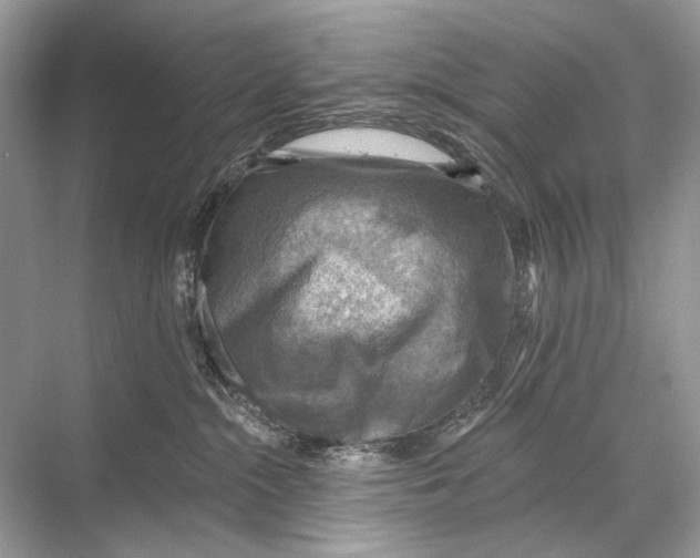 X0000067840284200605041657