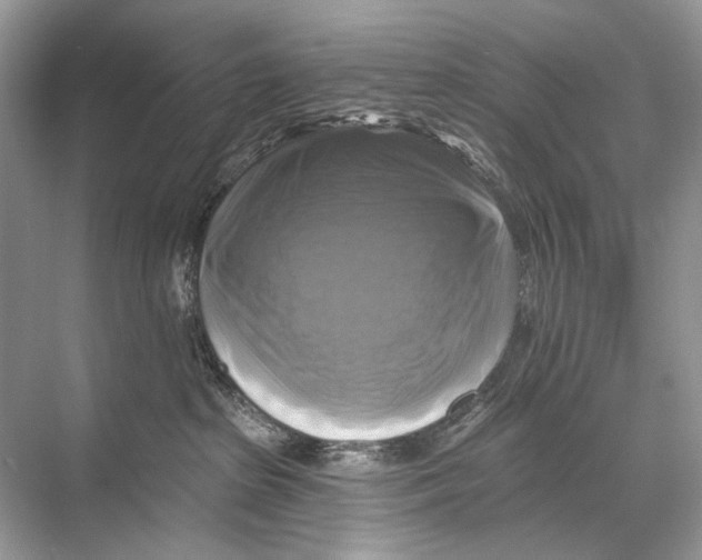 X0000067840285200605041657