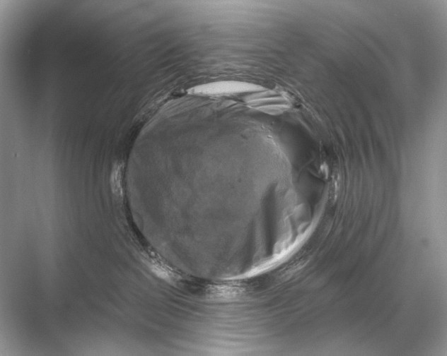 X0000067840286200605041657