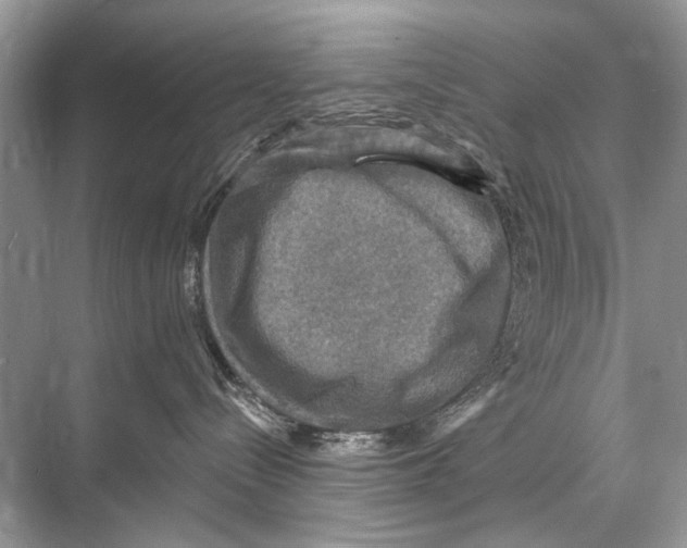 X0000067840288200605041657