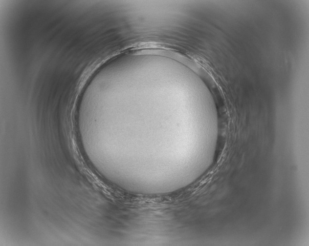 X0000067840289200605041656