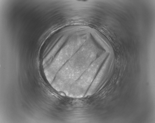 X0000067840290200605041656