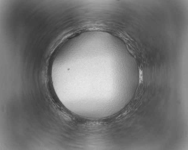 X0000067840291200605041656