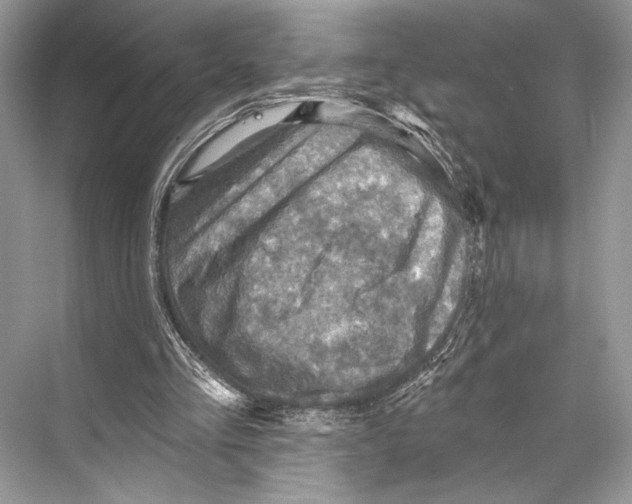 X0000067840293200605041656