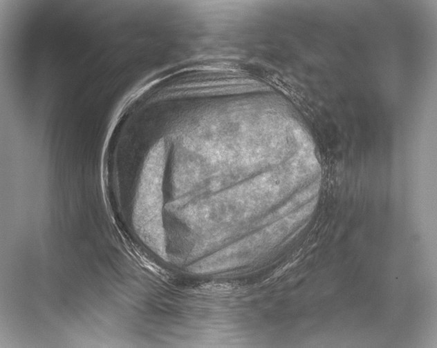 X0000067840294200605041656