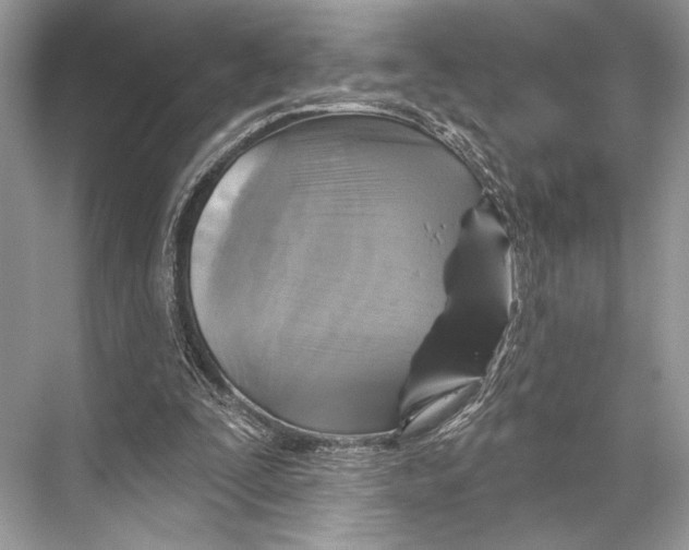 X0000067840295200605041656