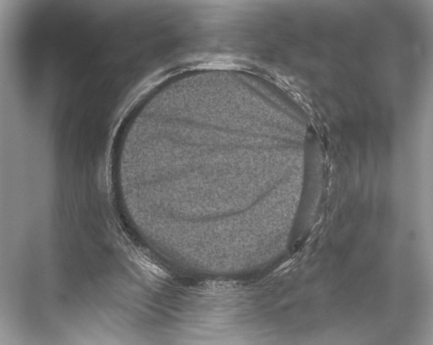 X0000067840296200605041656