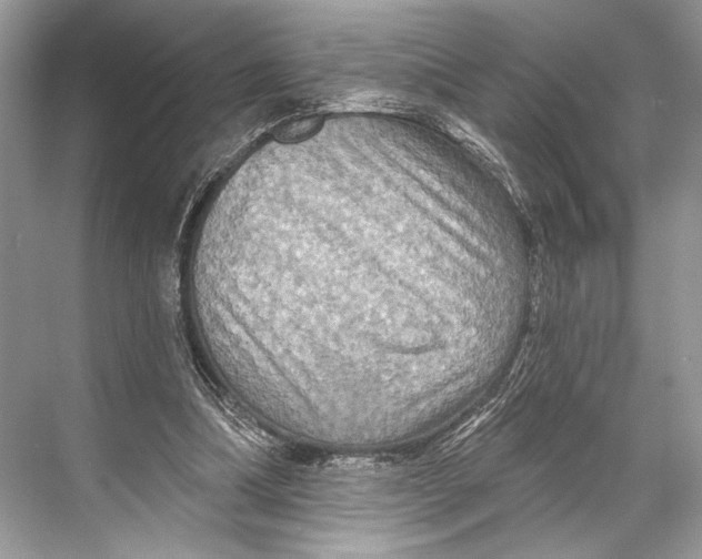 X0000067840298200605041656