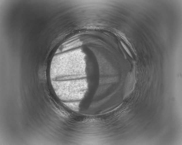 X0000067840299200605041656