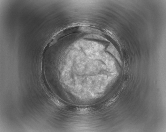 X0000067840301200605041656