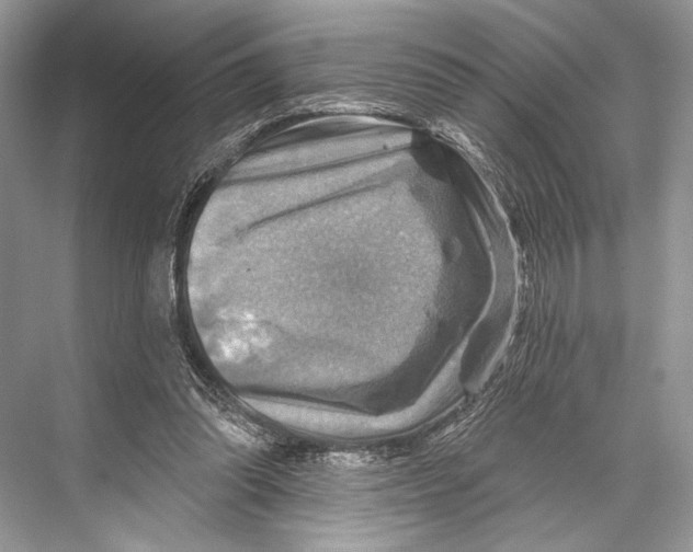 X0000067840302200605041656