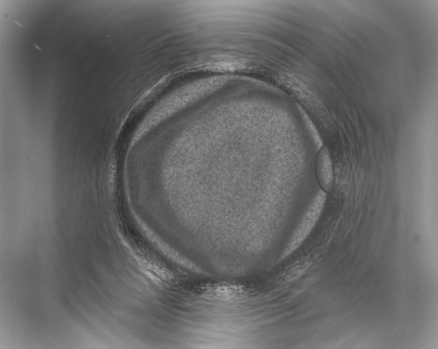 X0000067840304200605041656