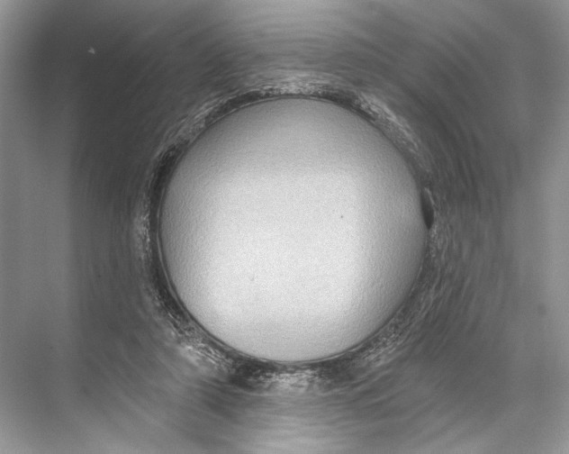 X0000067840306200605041656