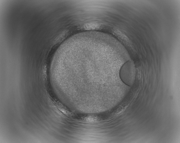 X0000067840308200605041656