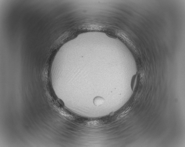 X0000067840309200605041656