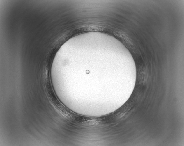 X0000067840310200605041656