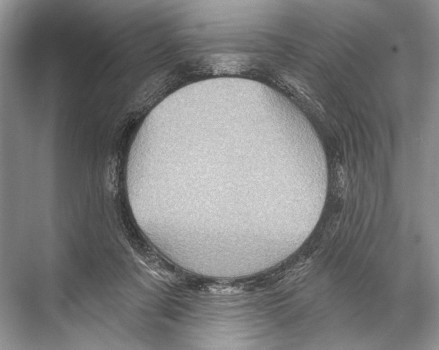 X0000067840311200605041656