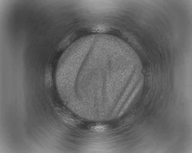 X0000067840312200605041656