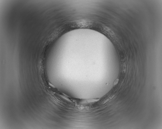 X0000067840317200605041656