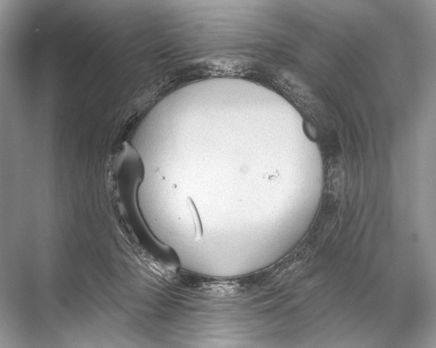 X0000067840318200605041656