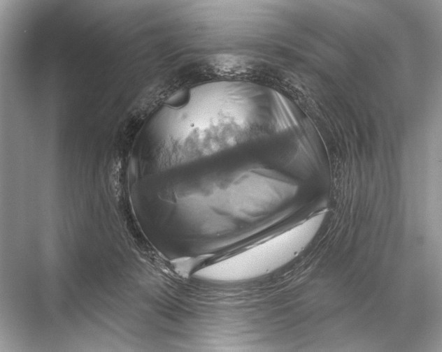 X0000067840319200605041656