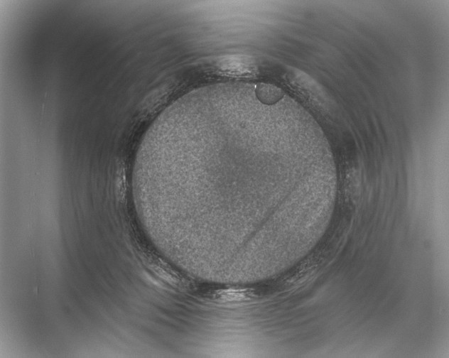 X0000067840320200605041656