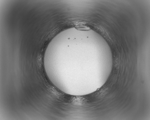 X0000067840321200605041656