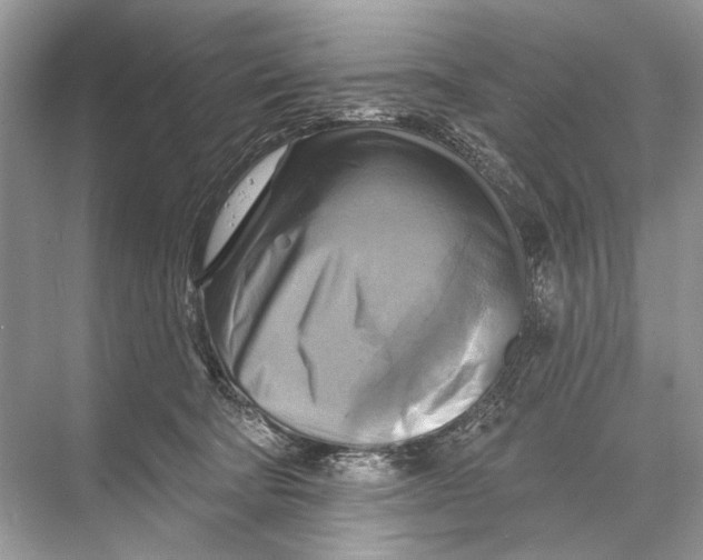 X0000067840322200605041656