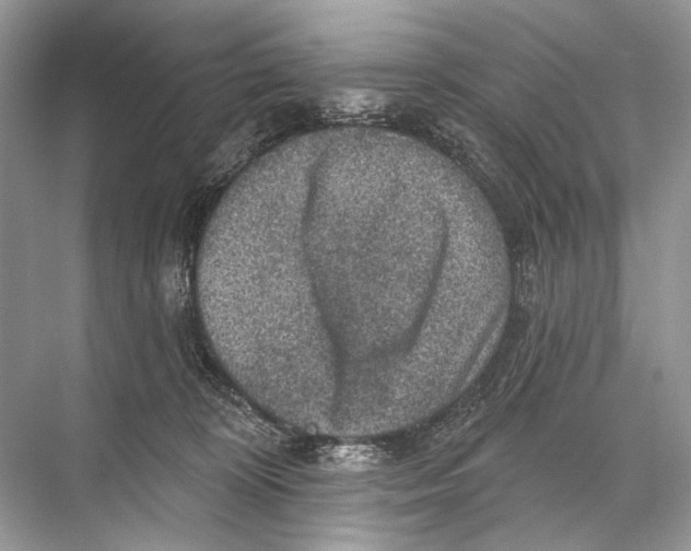 X0000067840324200605041656