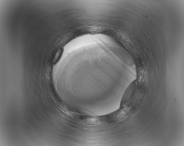 X0000067840325200605041656