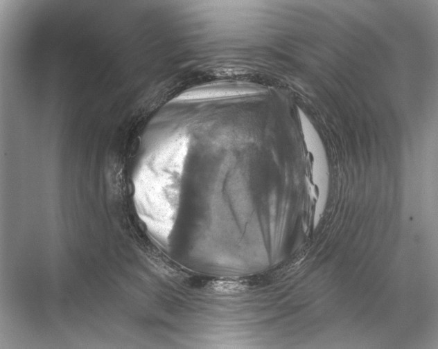 X0000067840327200605041656