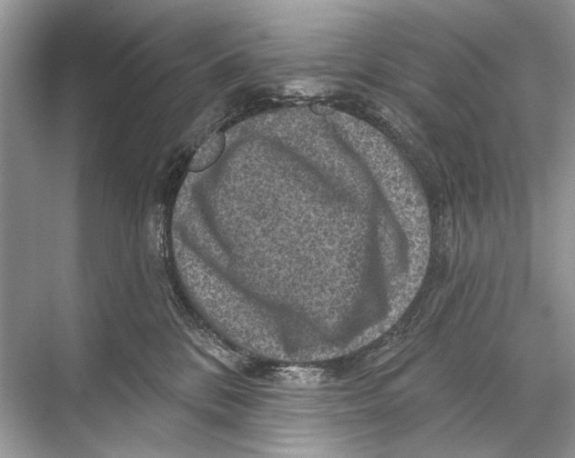 X0000067840328200605041656