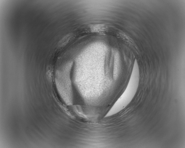 X0000067840329200605041656