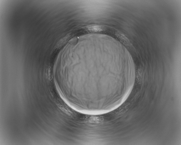 X0000067840330200605041656