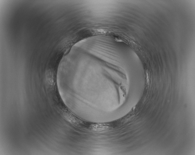 X0000067840331200605041656