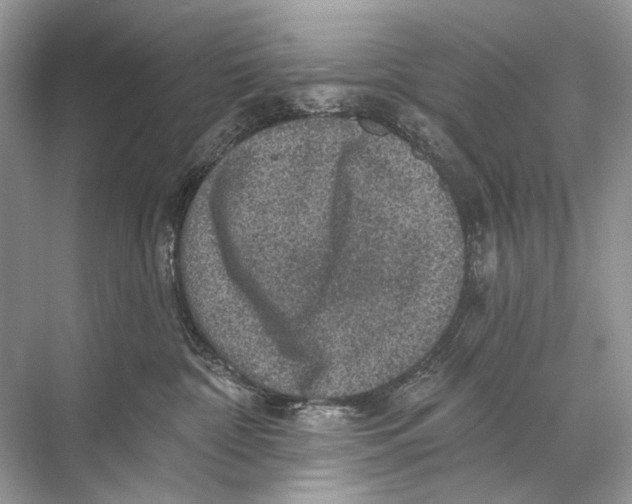 X0000067840332200605041656