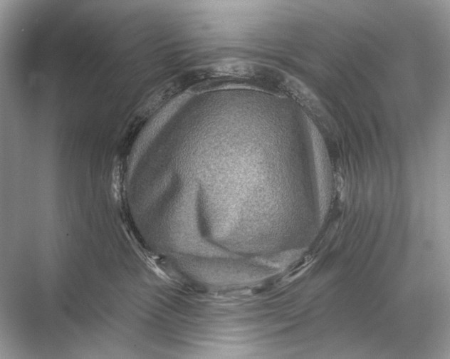 X0000067840333200605041656