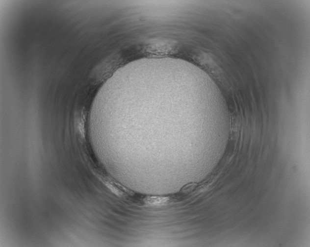 X0000067840334200605041656